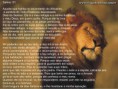 /album/dowlowds/salmo-91-jpg/